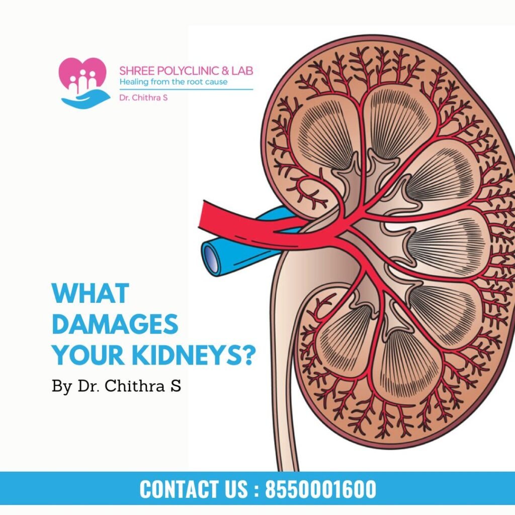 Common Causes of Kidney Problems: What Damages Your Kidneys?